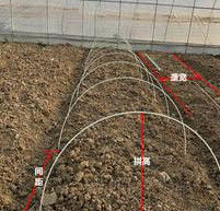 plantation en plastique de tissu-renforcé de Chambre verte de 10mm Rod Flexible Fiberglass Rods For