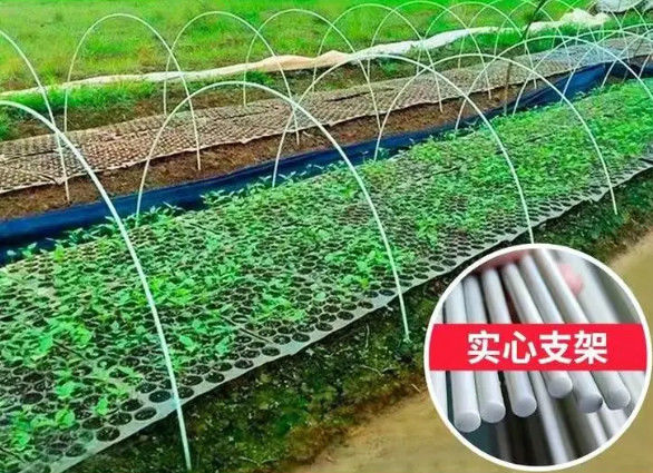 plantation en plastique de tissu-renforcé de Chambre verte de 10mm Rod Flexible Fiberglass Rods For