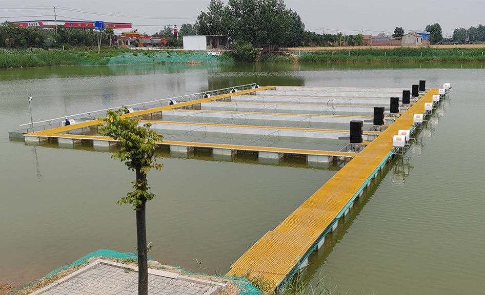 Grille en FRP de taille personnalisée pour construire l'échelle de sécurité et la plateforme de passerelle