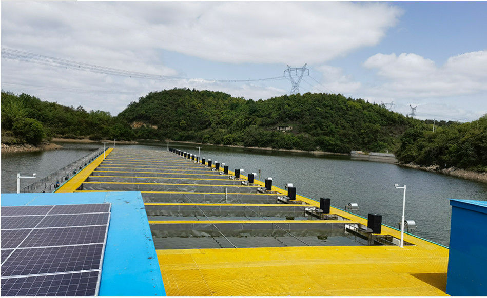 Grille en FRP de taille personnalisée pour construire l'échelle de sécurité et la plateforme de passerelle