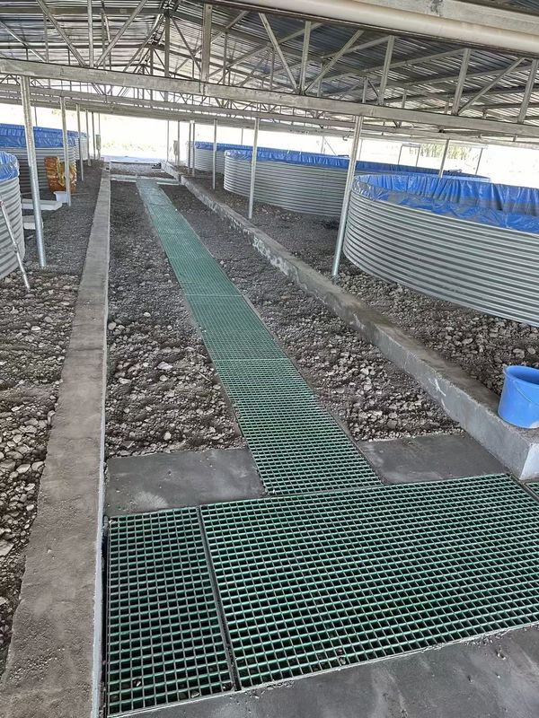 Ferme de poissons FRP grille de passerelle ou de plate-forme peut être personnalisé pour la taille et la couleur