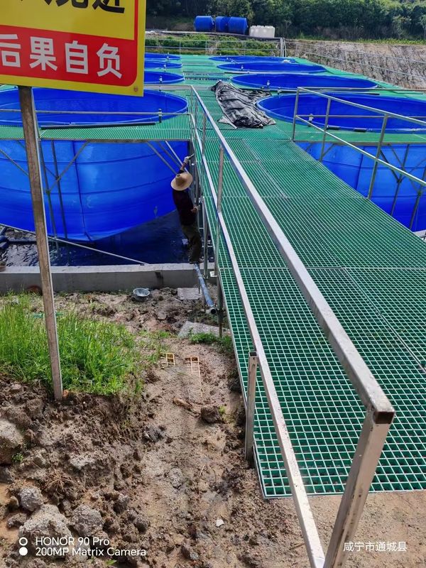 Ferme de poissons FRP grille de passerelle ou de plate-forme peut être personnalisé pour la taille et la couleur