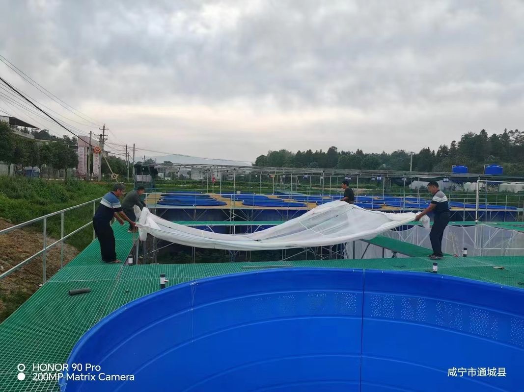 Ferme de poissons FRP grille de passerelle ou de plate-forme peut être personnalisé pour la taille et la couleur